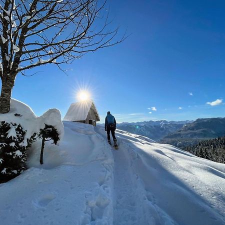 Chalet Hike&Bike Above Bohinj Valley Екстериор снимка