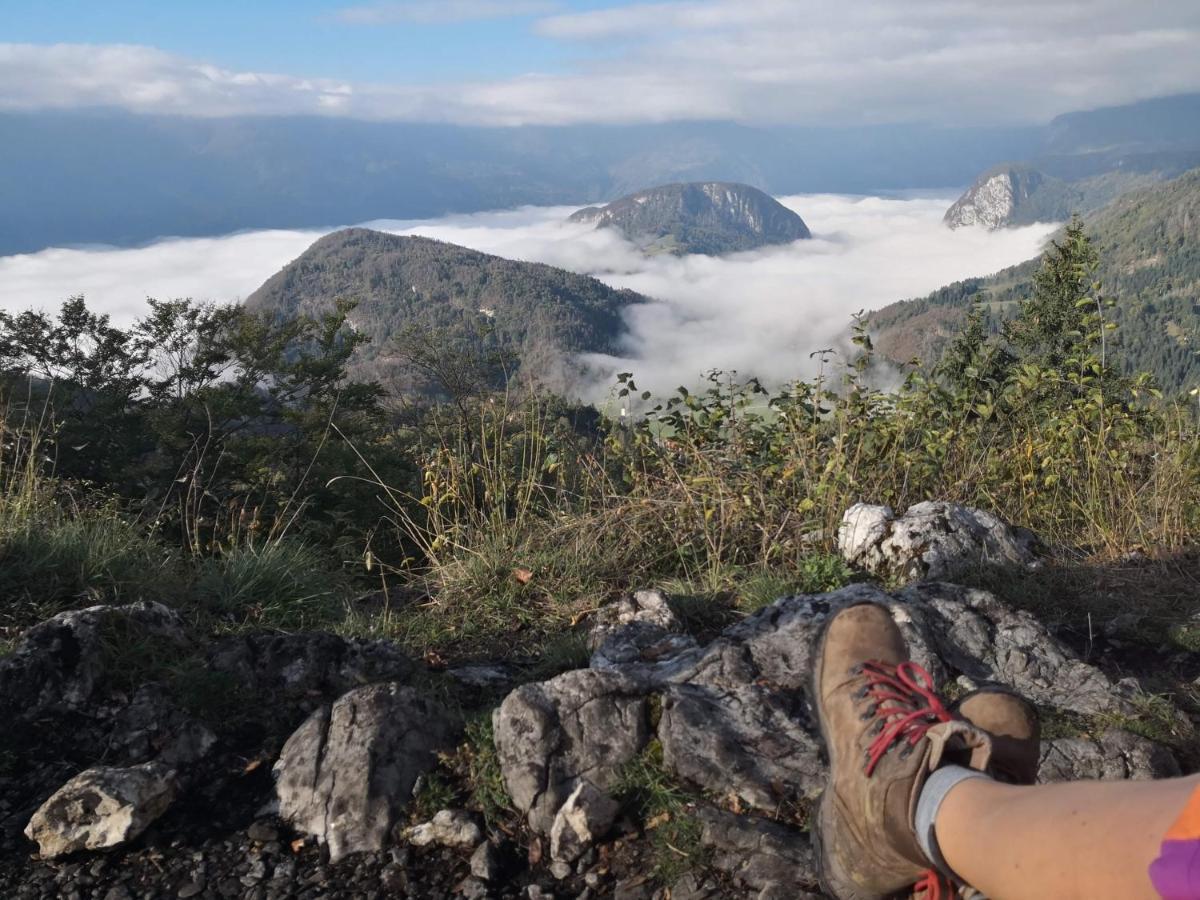 Chalet Hike&Bike Above Bohinj Valley Екстериор снимка