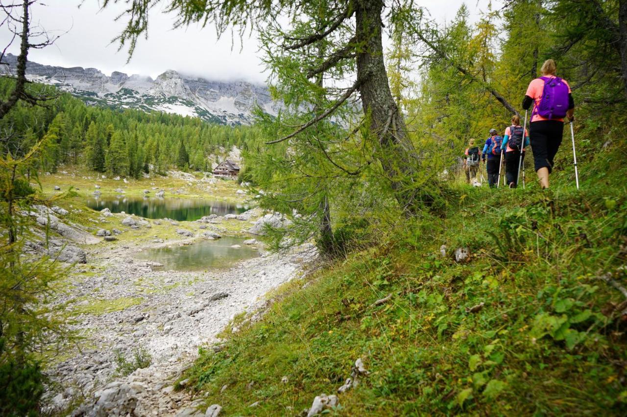 Chalet Hike&Bike Above Bohinj Valley Екстериор снимка
