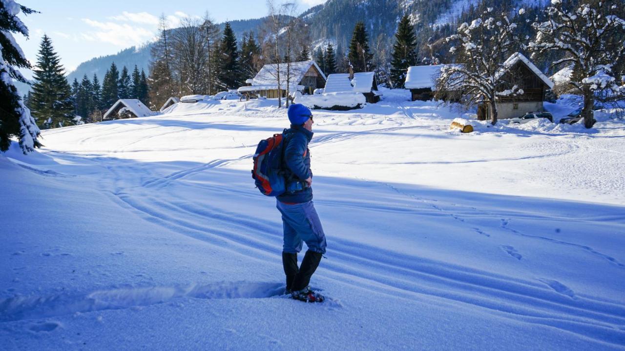 Chalet Hike&Bike Above Bohinj Valley Екстериор снимка