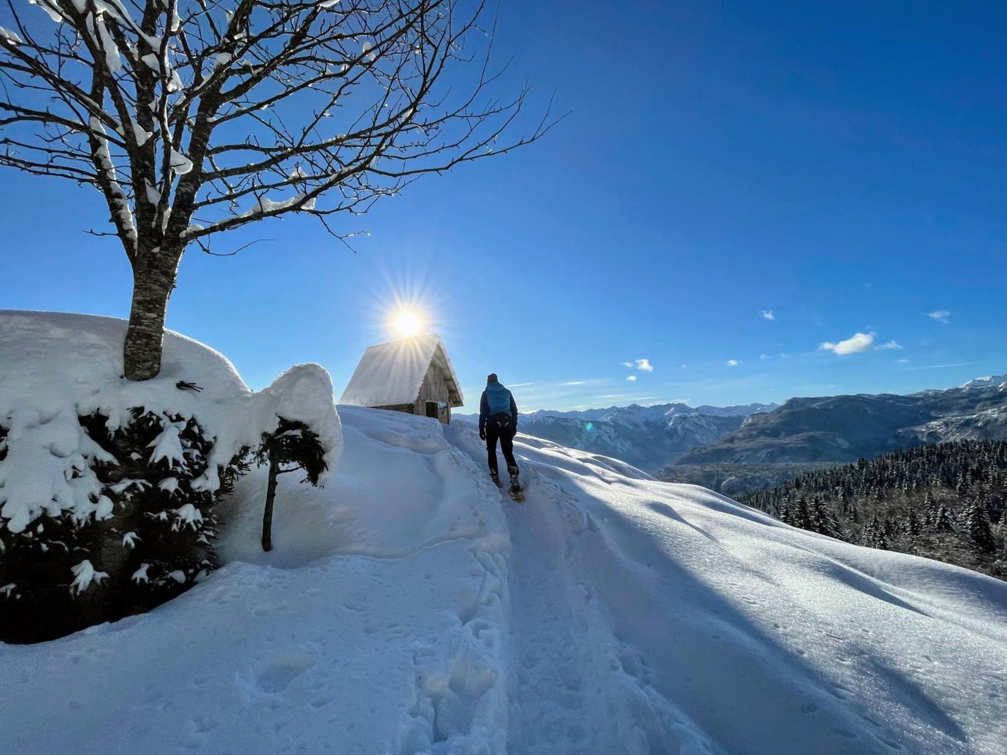 Chalet Hike&Bike Above Bohinj Valley Екстериор снимка